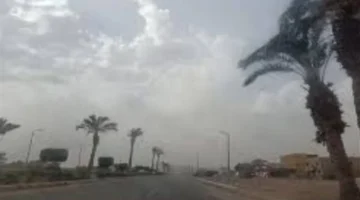 هل تشهد القاهرة الكبرى تقلبات جوية وتوقعات بسقوط أمطار خلال الساعات القادمة؟